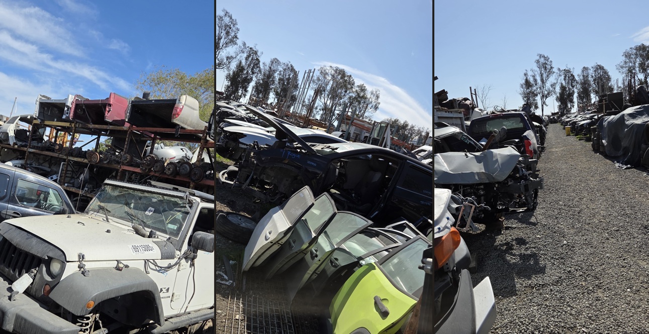 Filas de vehículos en la recicladora San Diego Auto Wrecking